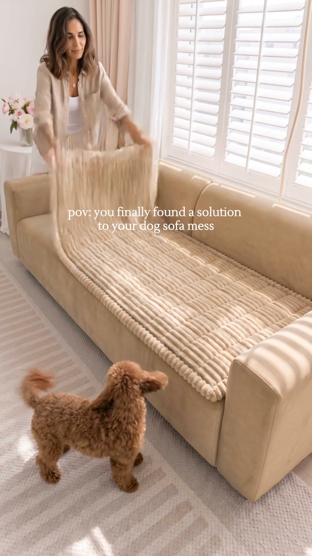 Sofa is much cleaner now..