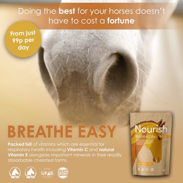 Nourish Respiratory for Horses