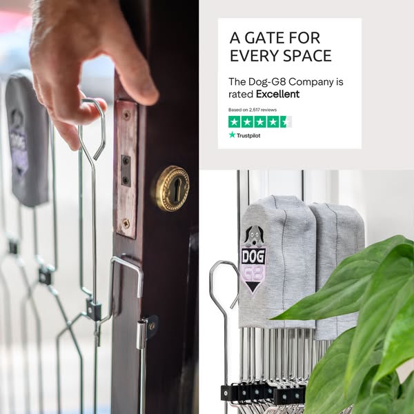 Dog-G8 | Keeping Dogs Safe