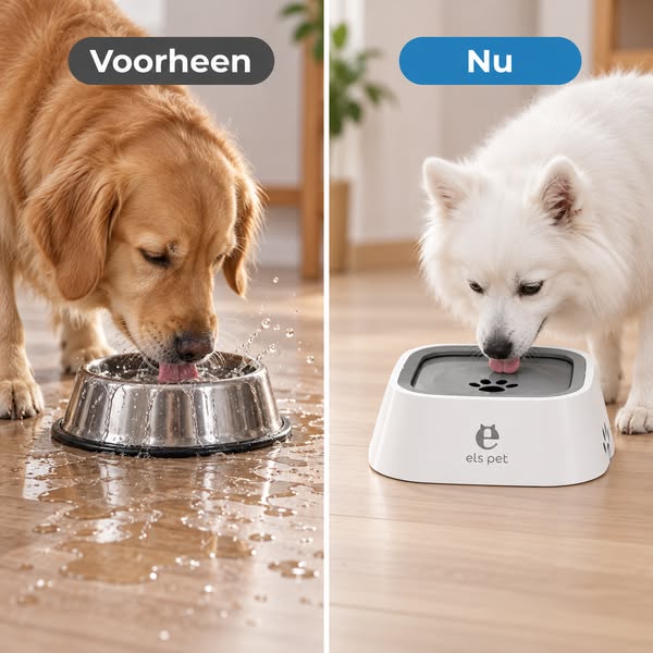 Tijdelijk 50% korting