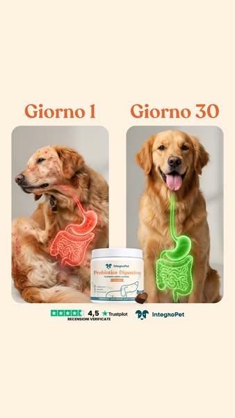 Elimina il Prurito del tuo Cane alla Fonte