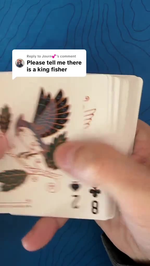 North American Birds Playing Cards