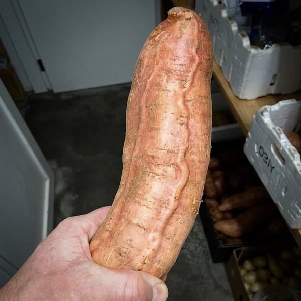 What Years Of Drinking Does To Your Penis