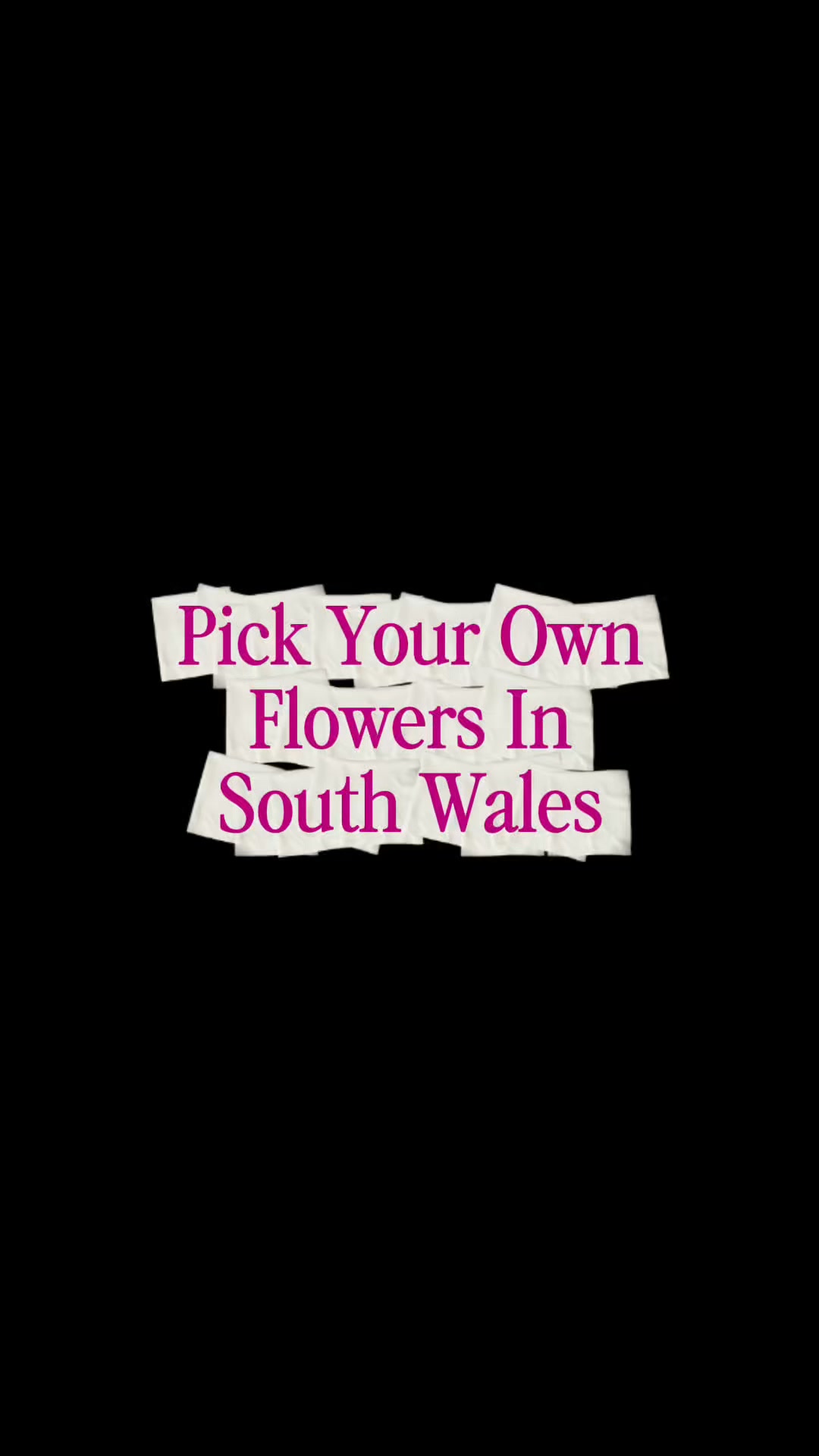 Pick Your Own Summer Bouquet