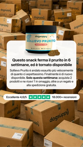 Questa offerta finisce presto