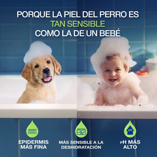 Cuidado pelo perros sanos