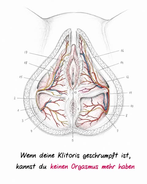 Deine Klitoris schrumpft in den Wechseljahren