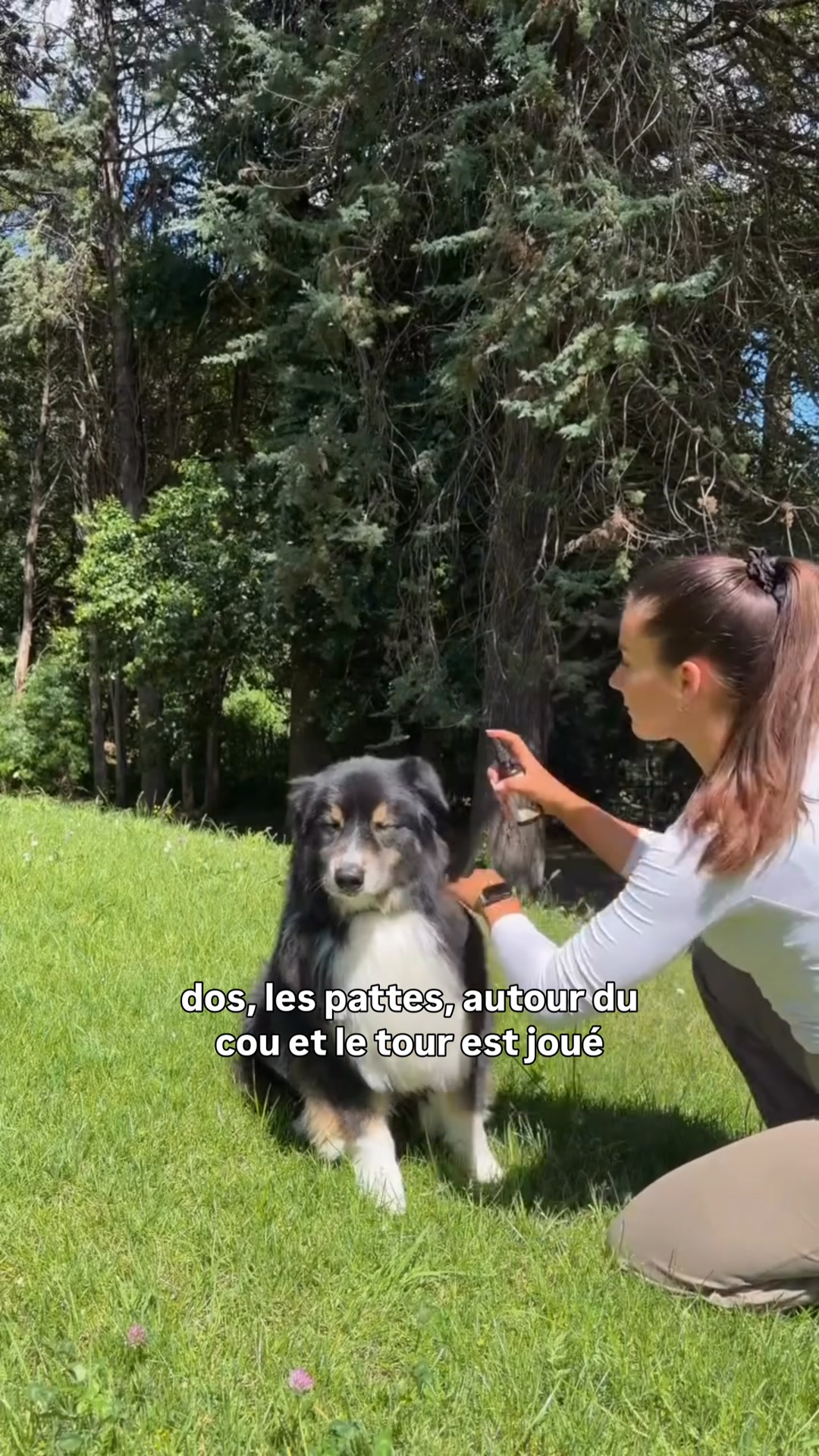 Une protection naturelle pour votre chien
