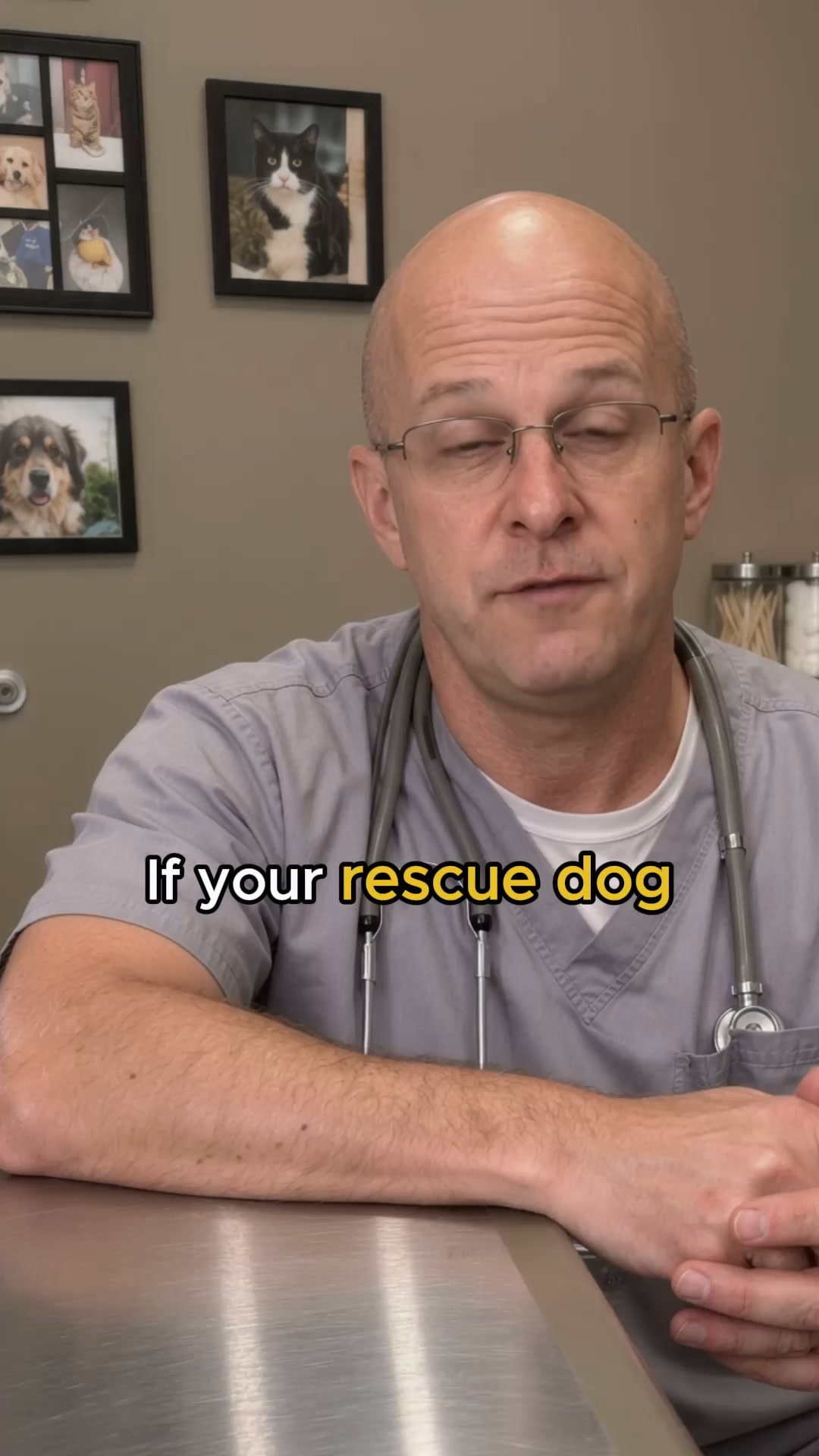 Your Dog Doesn't Have 4 Problems. It Has One