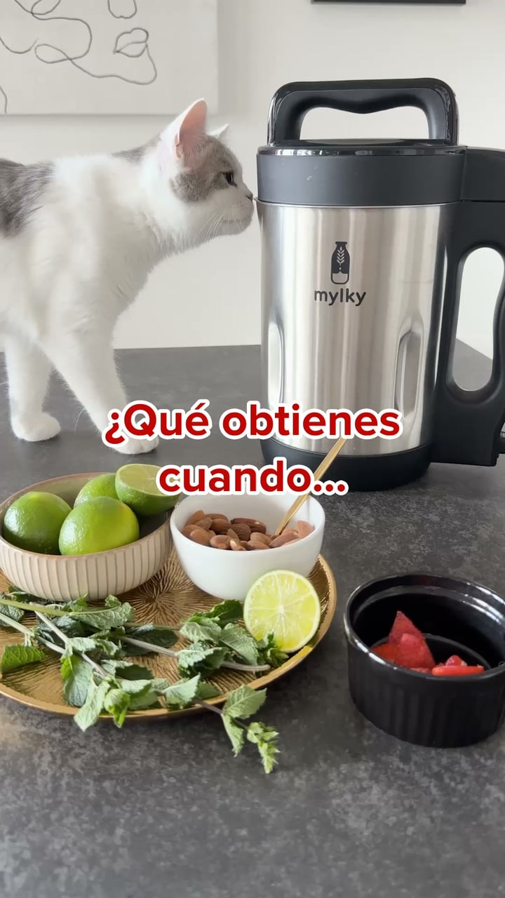 Yo elijo qué lleva