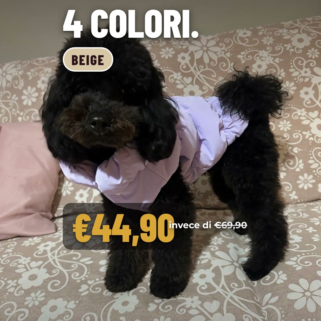Oltre 1.000 cani lo indossano già
