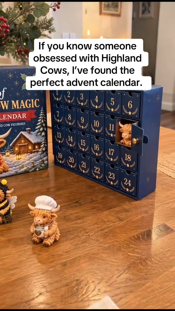24 Days of Cow Magic Unfolds