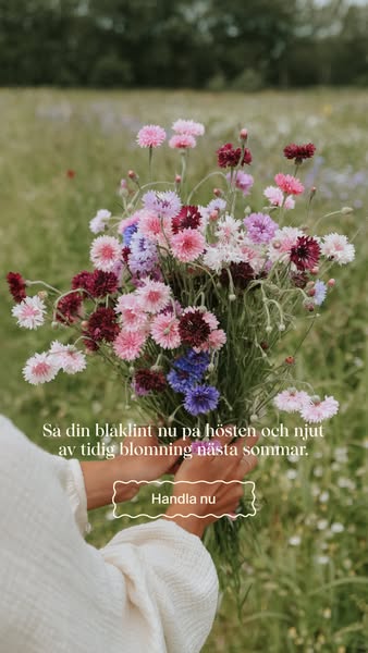 Blåklint