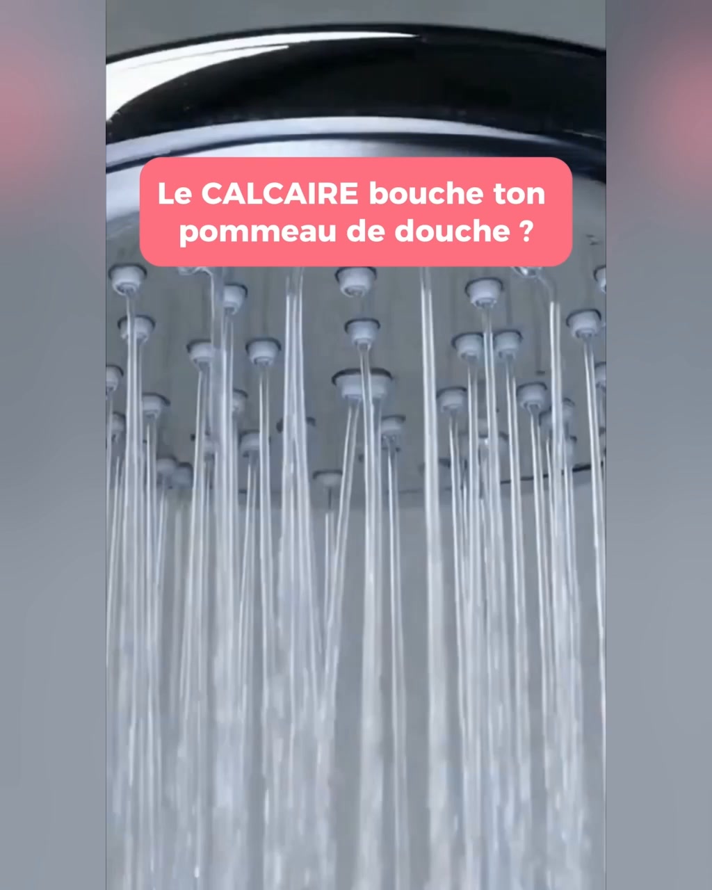 Livraison Gratuite