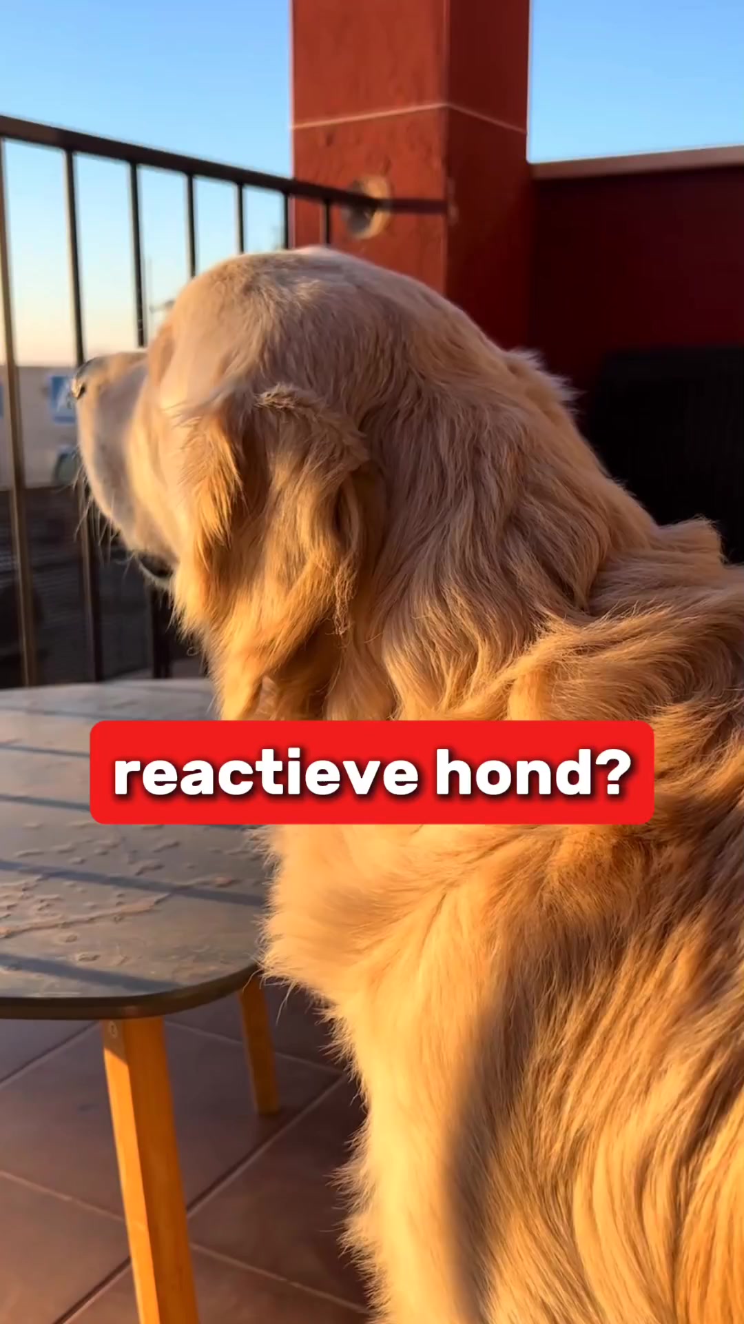 “De scherpe randjes zijn er echt vanaf.”