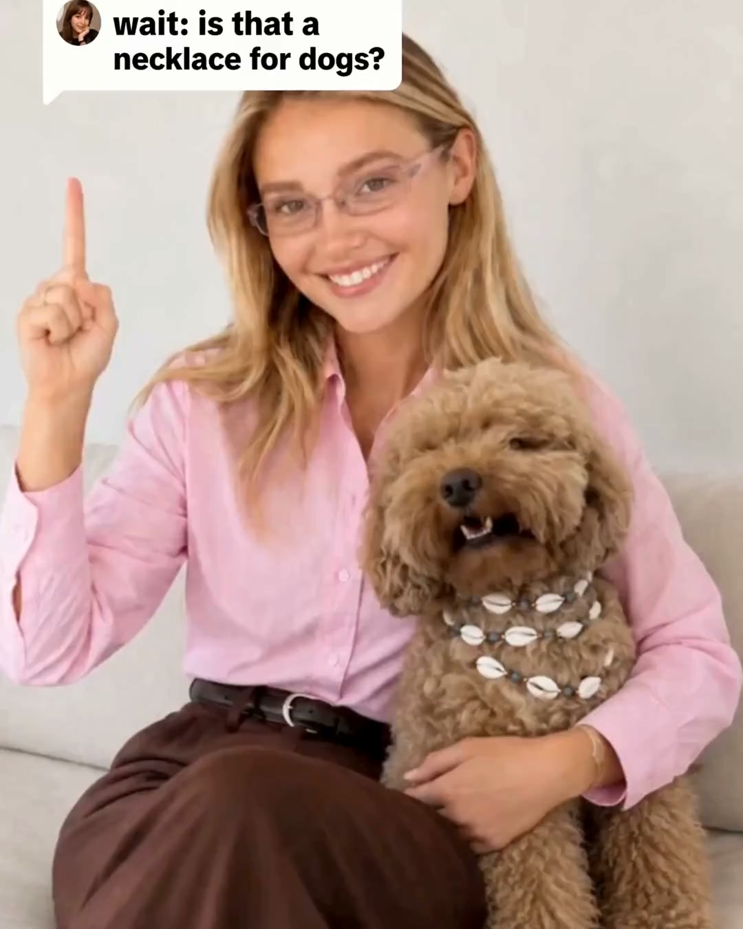 Noté 4,9/5 par plus de 3000 propriétaires de chiens