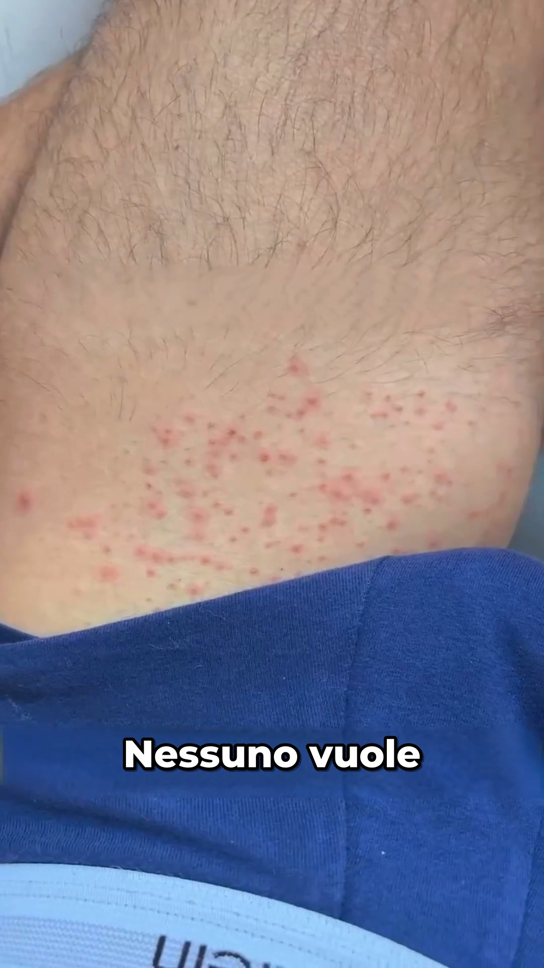 +5 Regali in Omaggio