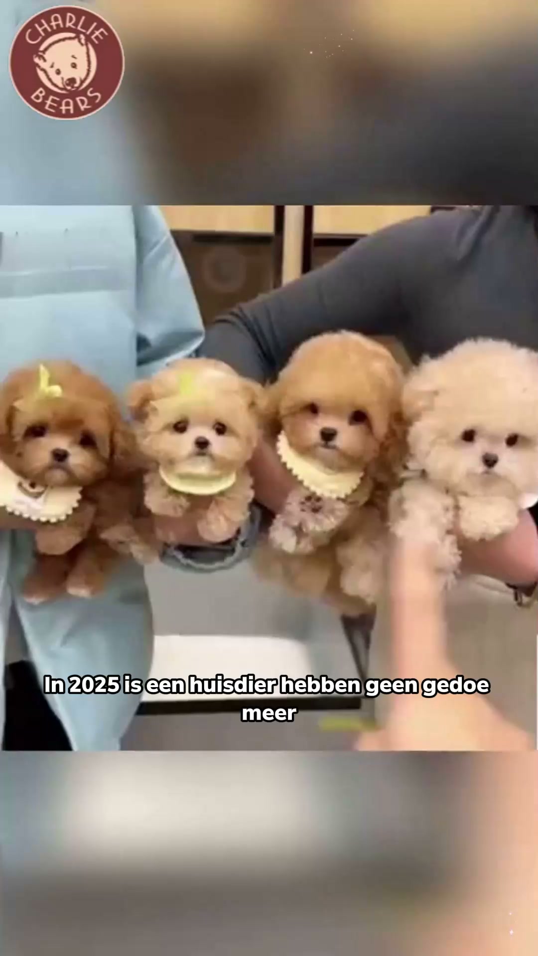 Interactief robot‑knuffelhondje! Een schattige slimme vriend voor jong en oud