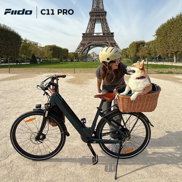 Fiido C11 Pro – robustes E‑Bike mit 2 Jahren Garantie