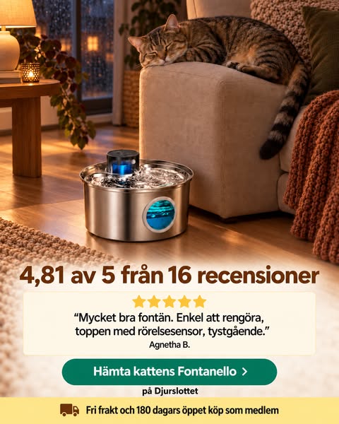Kattfontänen för enklare vardag