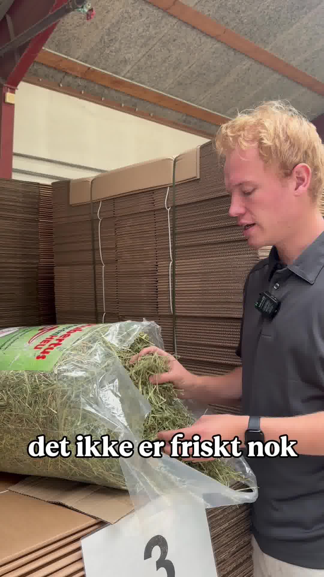 Det bedste hø til din kanin