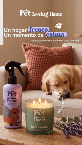 Elimina malos olores de raíz