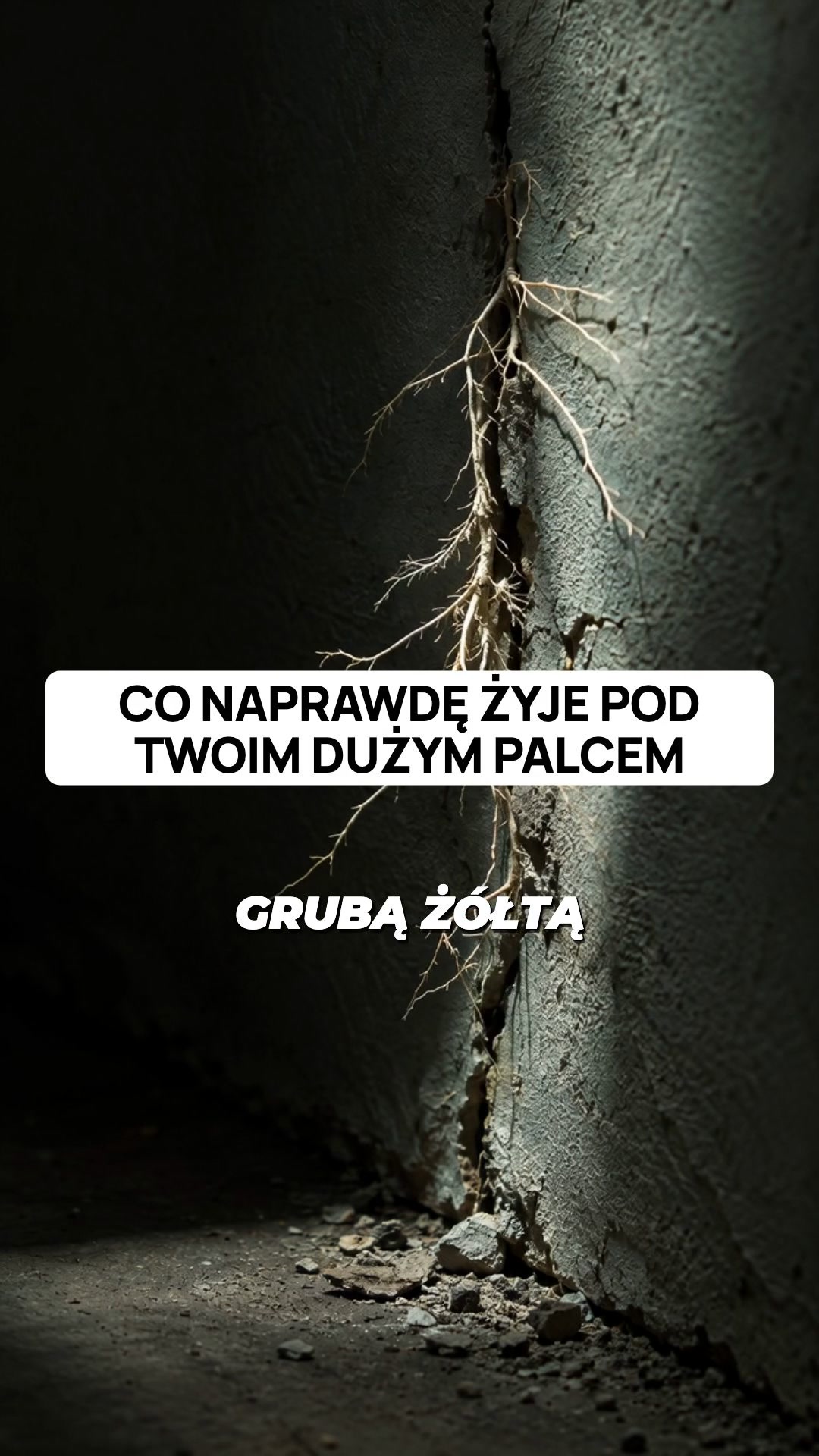 Koniec z ukrywaniem stóp