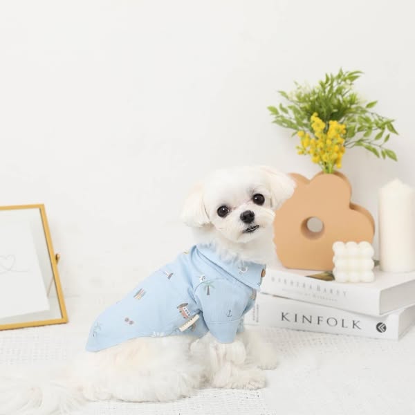 Dog Clothes & Suppliers | monchéri