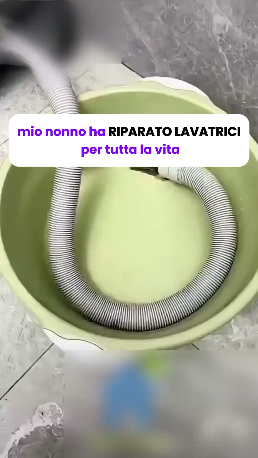 ADV PET ITA