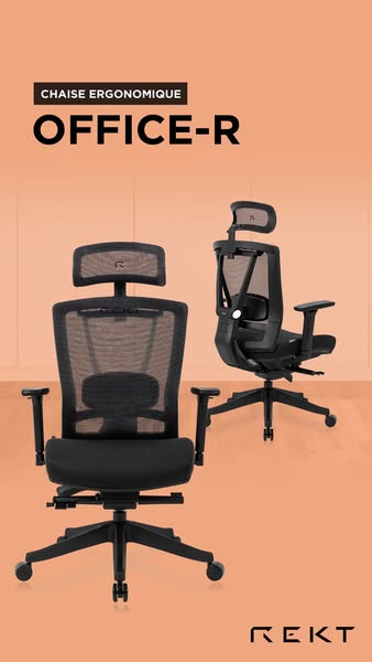 Siège Ergonomique