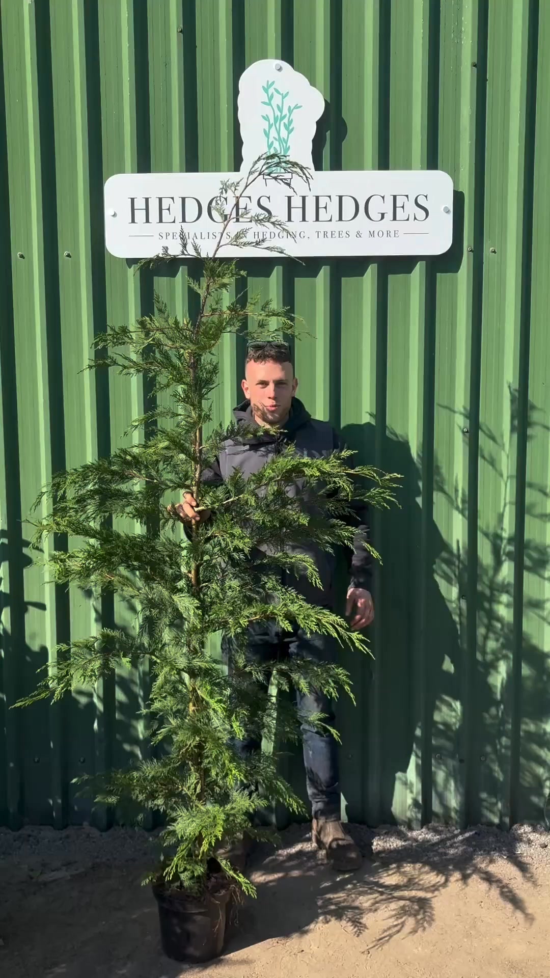Dense Fast Privacy With Leylandii
