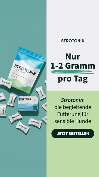 Entspannung für Hunde