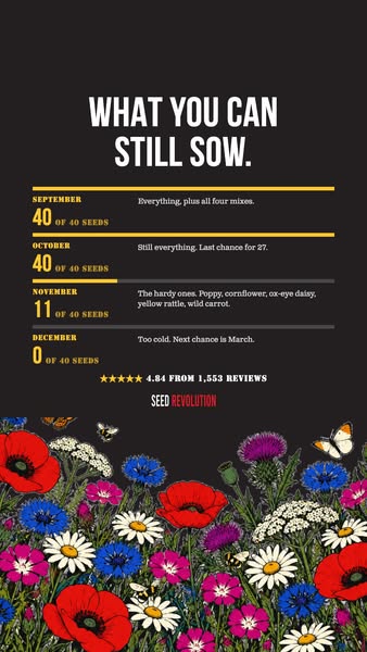 British Native Wildflowers