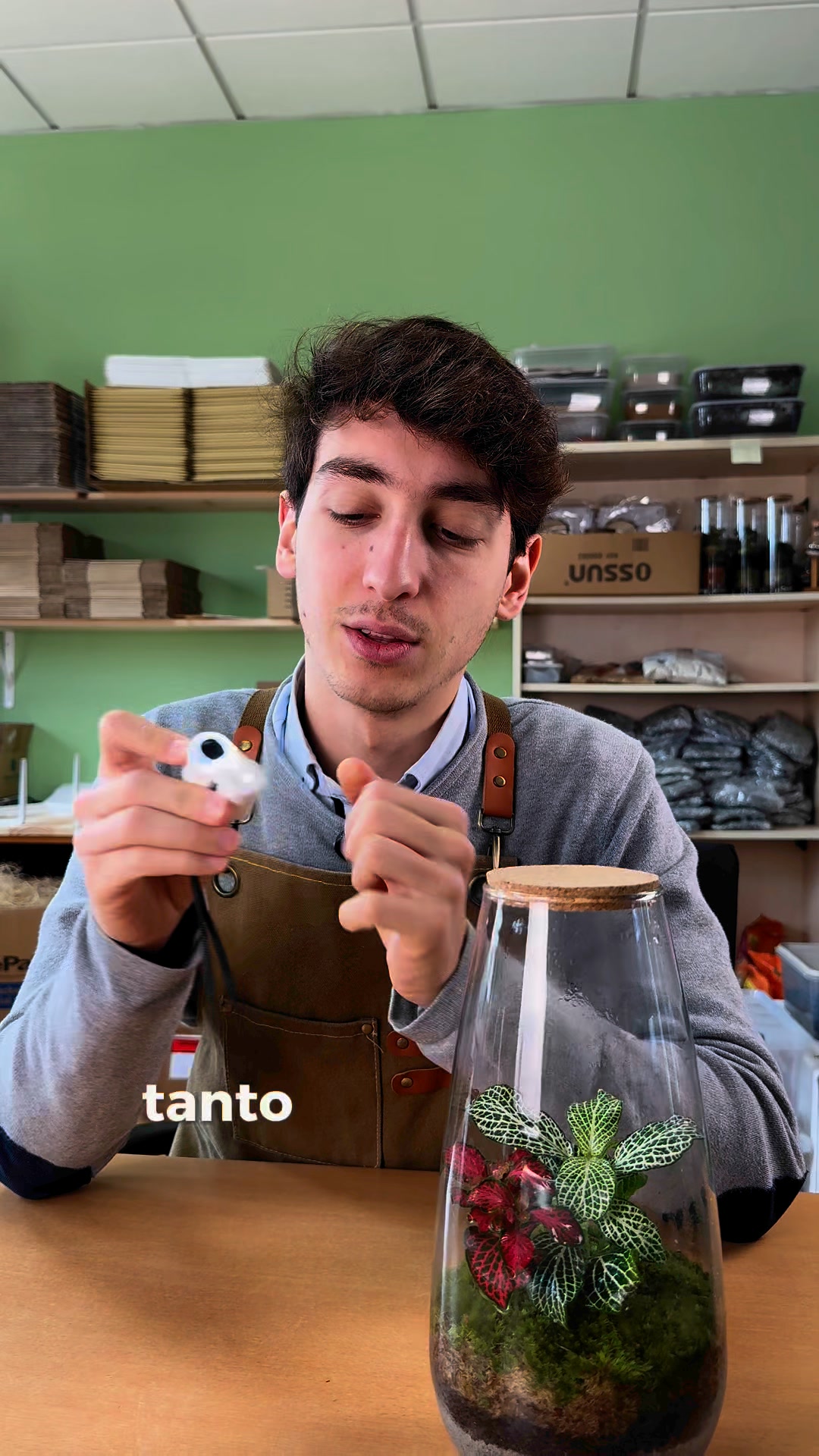 Envío gratis en 72 horas