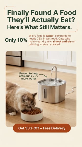 For The Cat Who's Finally Eating Well