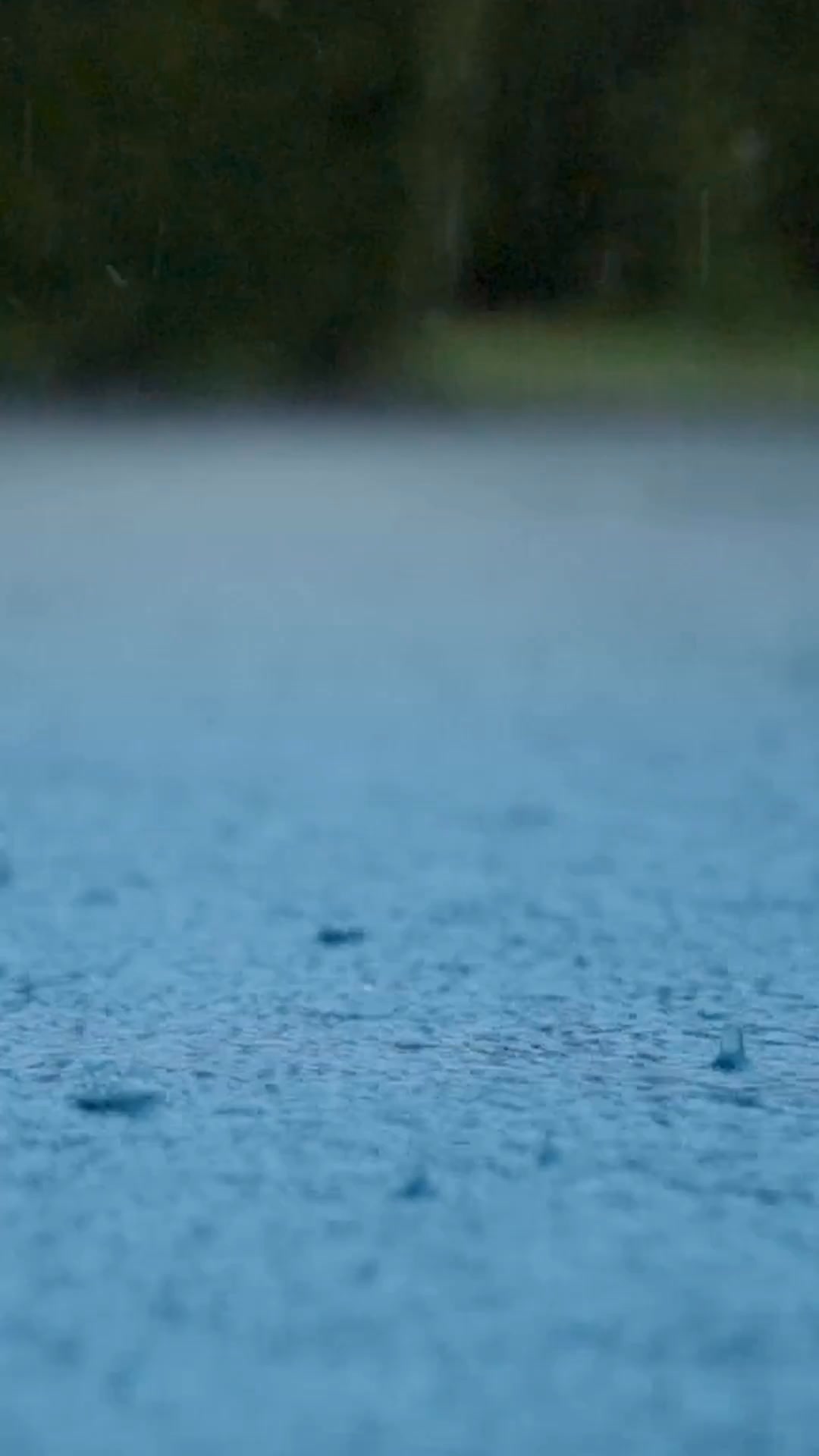 Most Jacket's Can't Handle "Wet Cold". This Was Built for It.