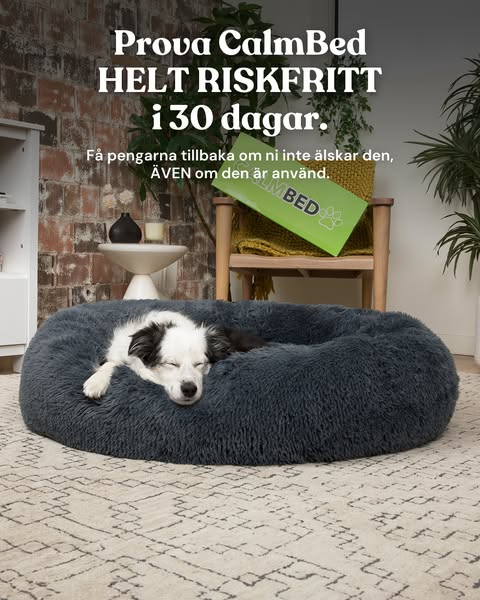 Snabb & Gratis Frakt