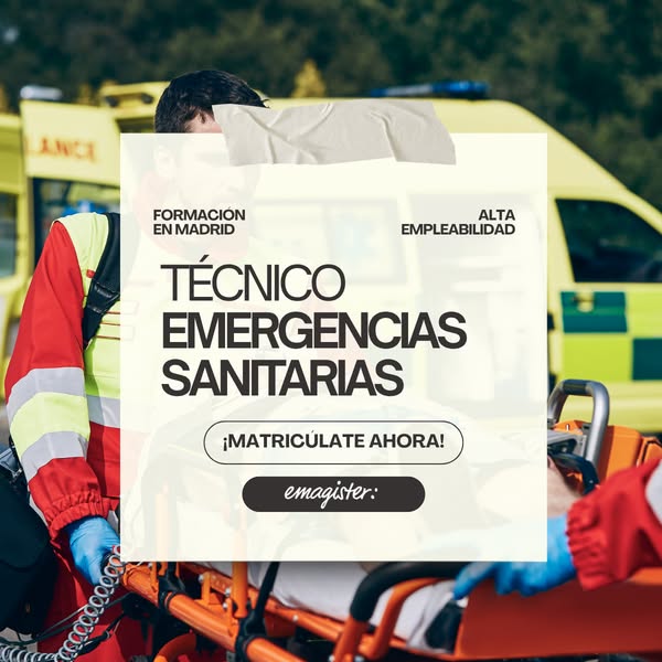 Formación Profesional