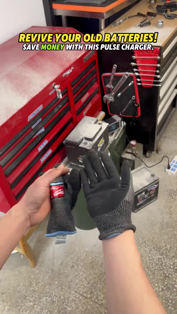 12V Smart Battery Charger Maintainer