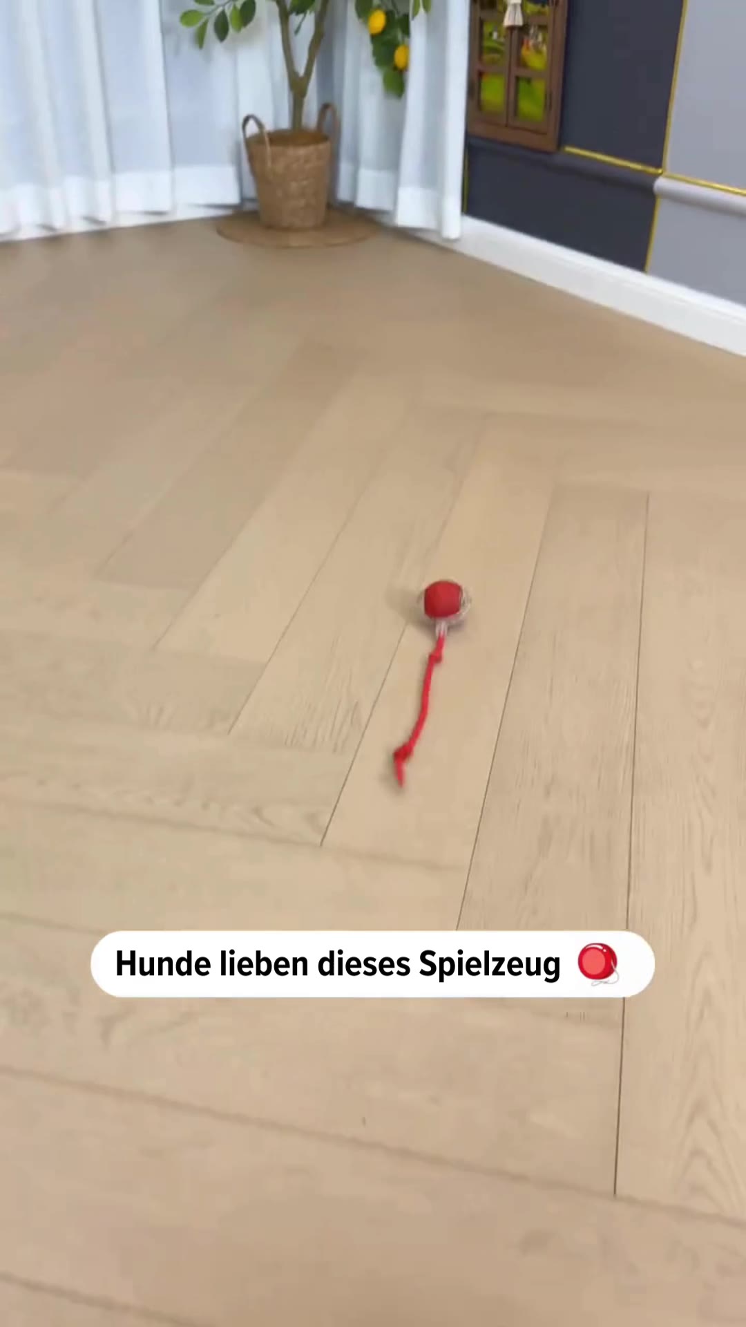 #1 Hundespielzeug