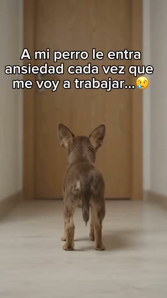 Compañía aunque no estés