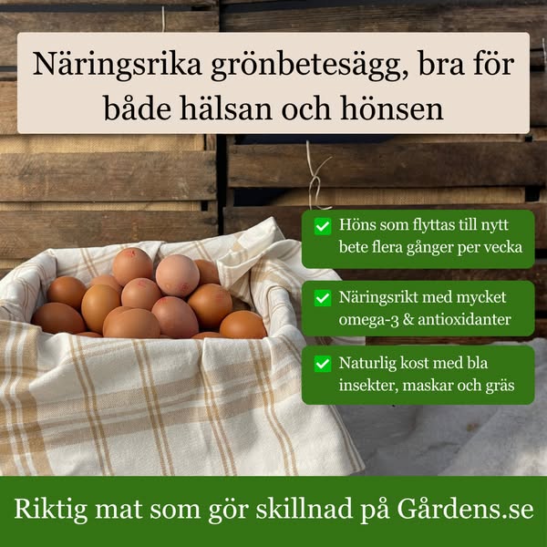 Näringsrika grönbetesägg