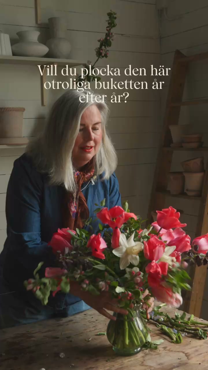Tulpaner, Narciss, Klocklilja