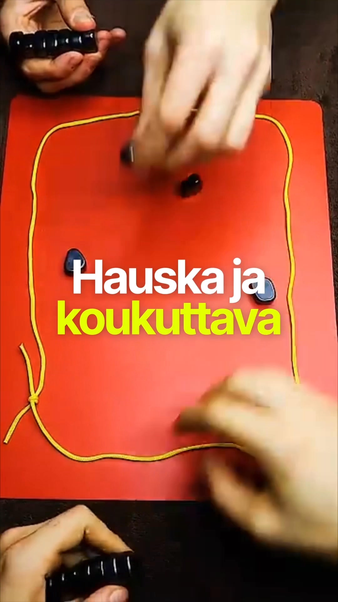 Jännittävä peli kaikenikäisille!
