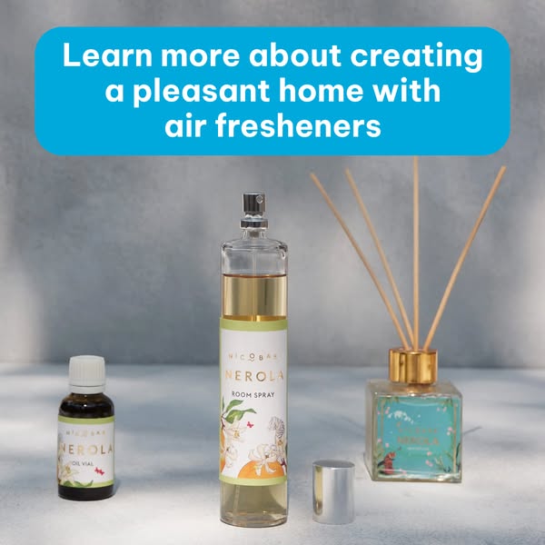 Learn more about creating a pleasant home with air fresheners