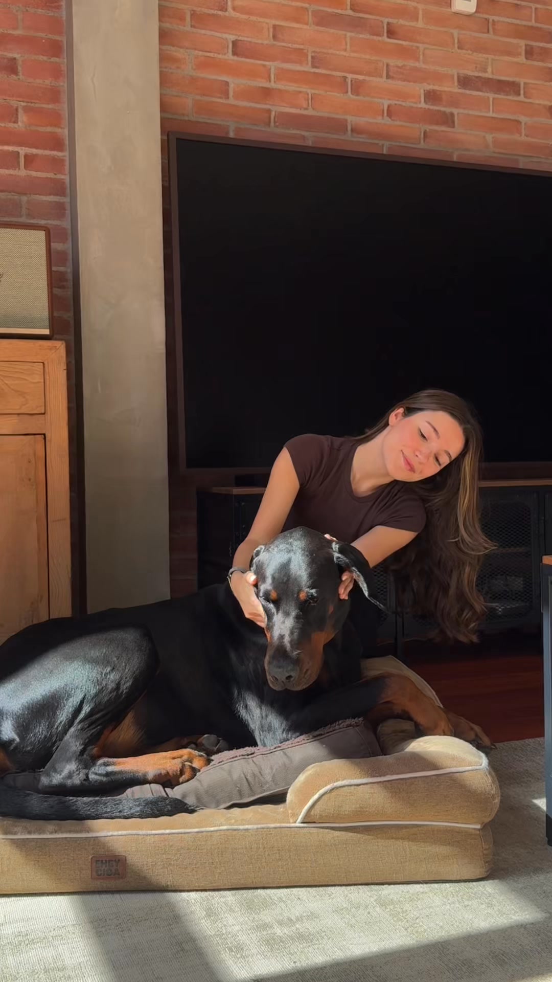 O cheiro de urina e de animais volta sempre?