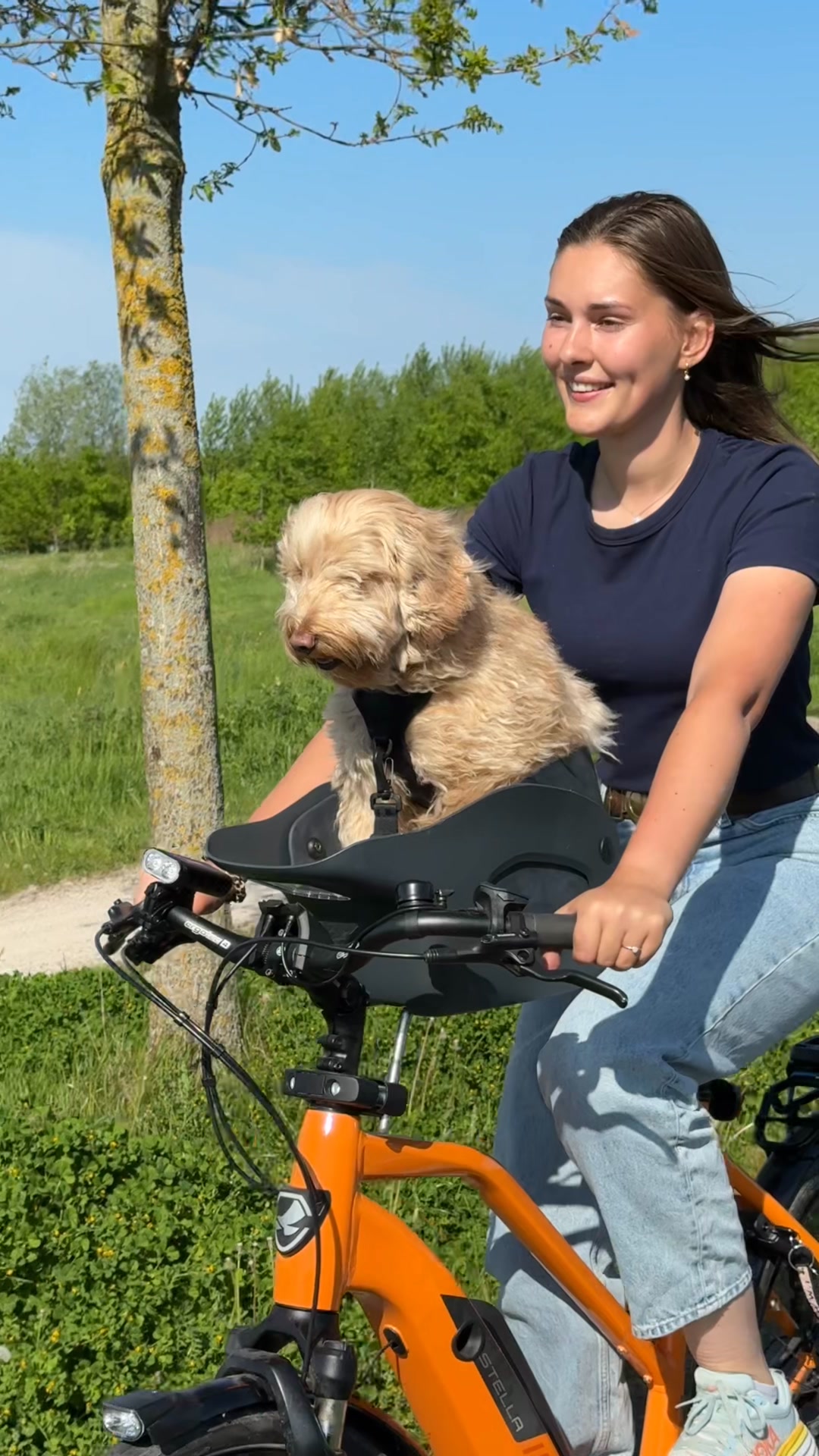 Nooit meer je hond alleen thuislaten