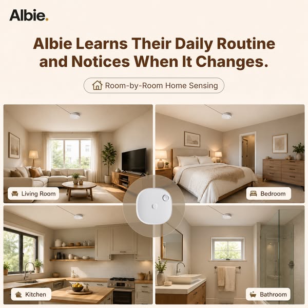 Meet Albie — Smart Home Sensor for Everyday Life