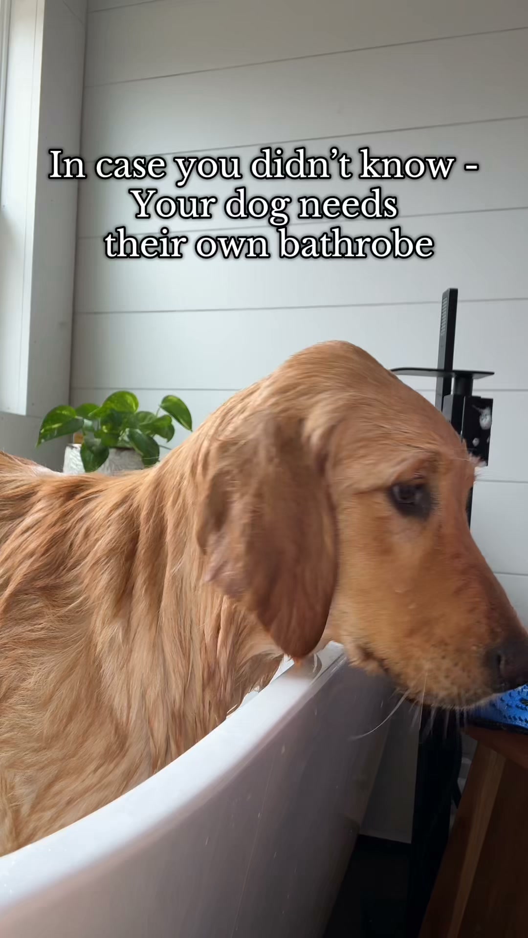 Quick-Drying Dog Bathrobe - Super Absorbent Soft Pet Towel Wrap