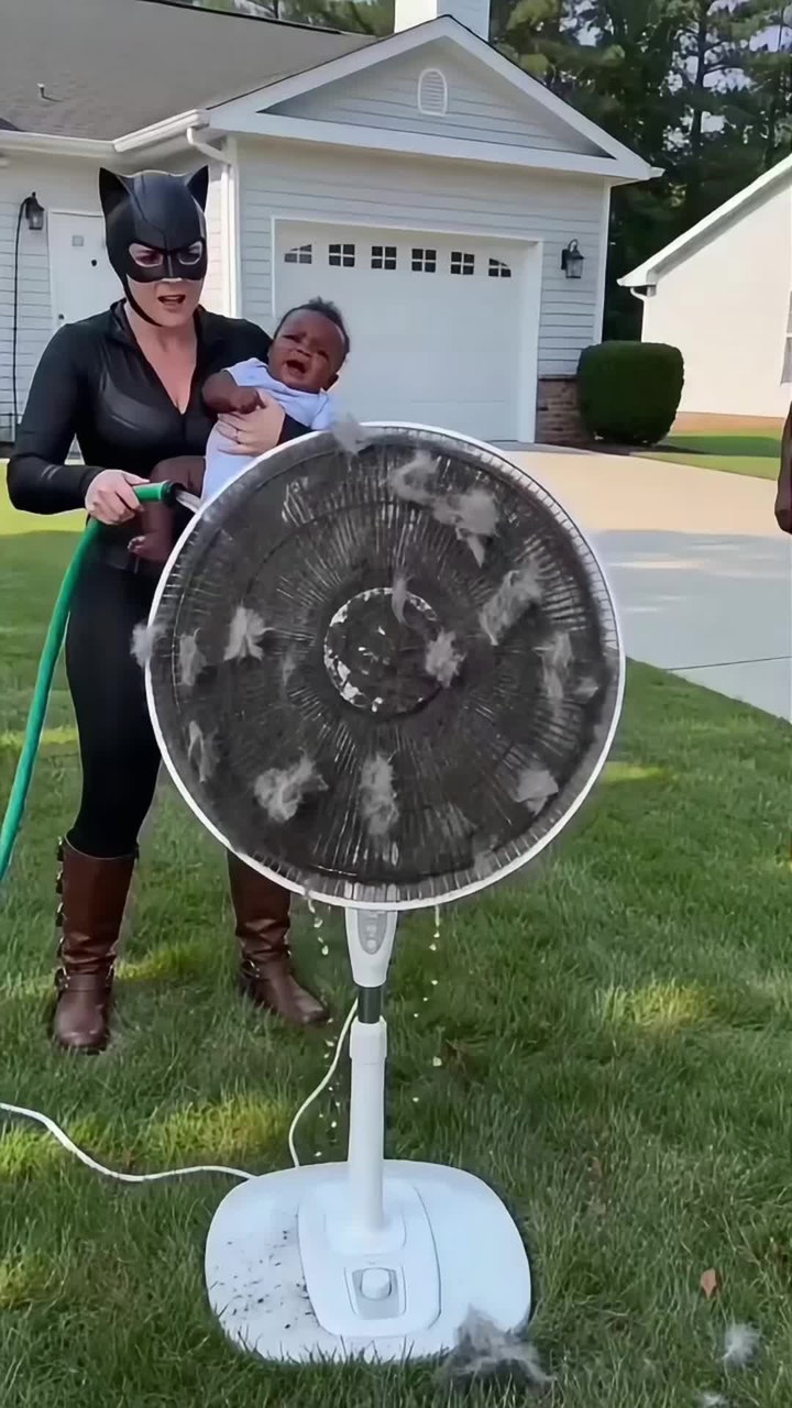 Fan cleaning brush